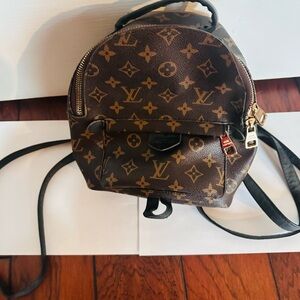Louis Vuitton Palm Springs Mini Backpack in Monogram Canvas